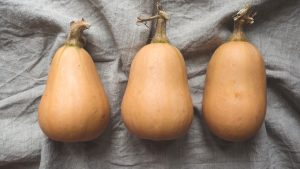 Butternut Kuerbis