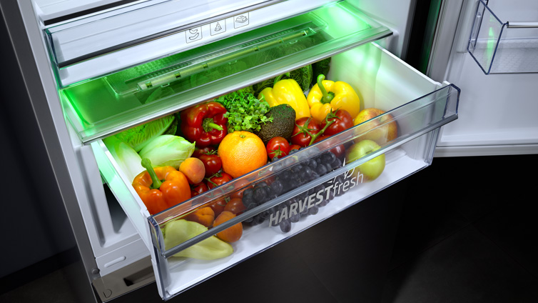 BEKO HarvestFresh Kühl- und Gefrierkombination