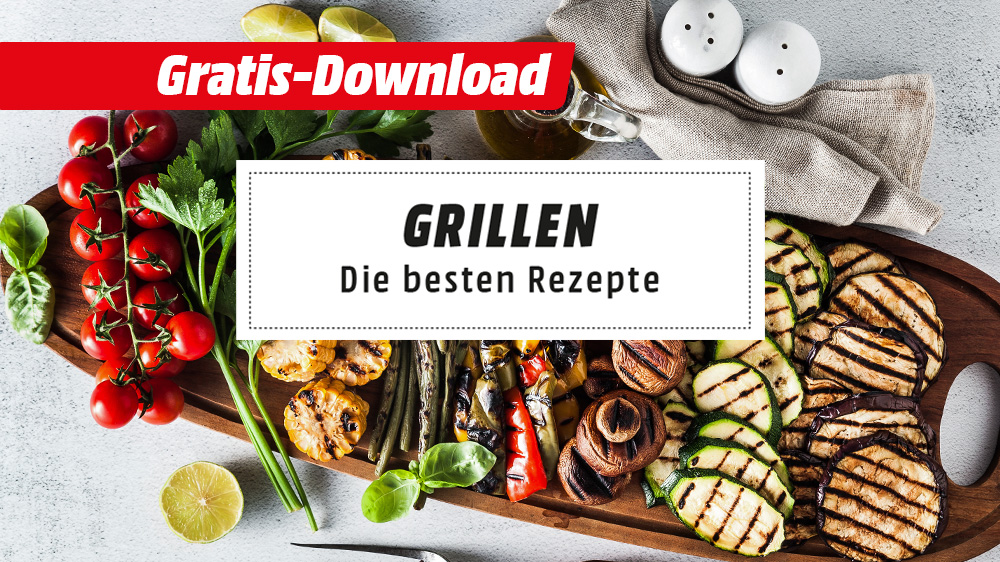 Teaser zum Gratis-Rezeptheft für Grillrezepte